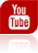 yt